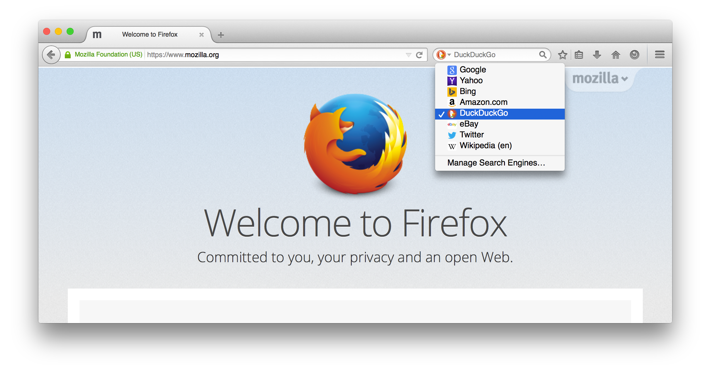 Версия браузера firefox. Mozilla Firefox. Движок Mozilla. Firefox Вики.